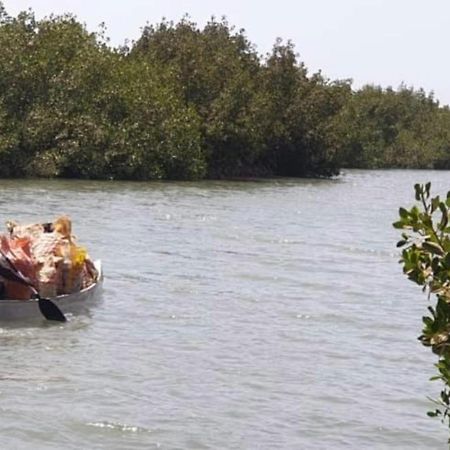 Mangrove Beach Sanyang Exteriér fotografie