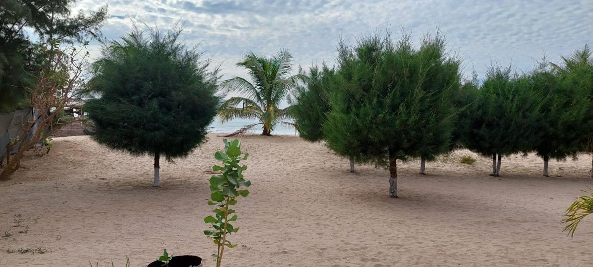 Mangrove Beach Sanyang Exteriér fotografie
